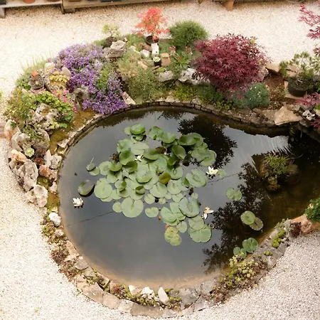 Apartament Beautiful Garden By Rent Istria